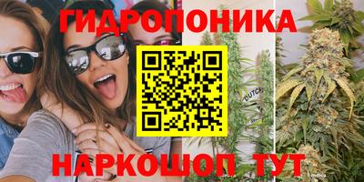 крисы Берёзовский