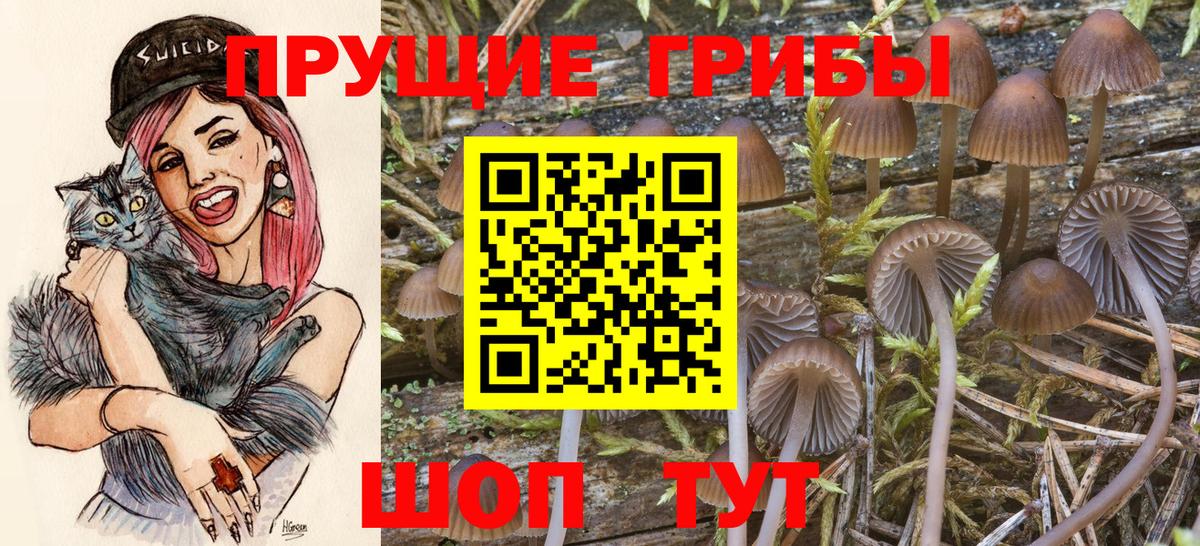 Псилоцибиновые грибы ЛСД Заволжье